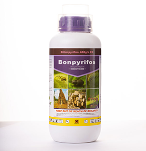 Insecticide BONPYRIFOS Chlorpyrifos 480 g/L EC