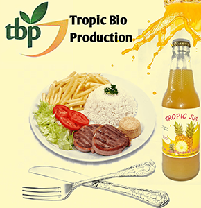 Jus d'ananas tropic bio