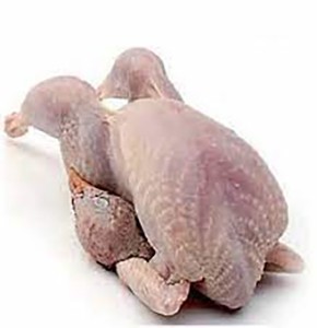 Viande de pigeon