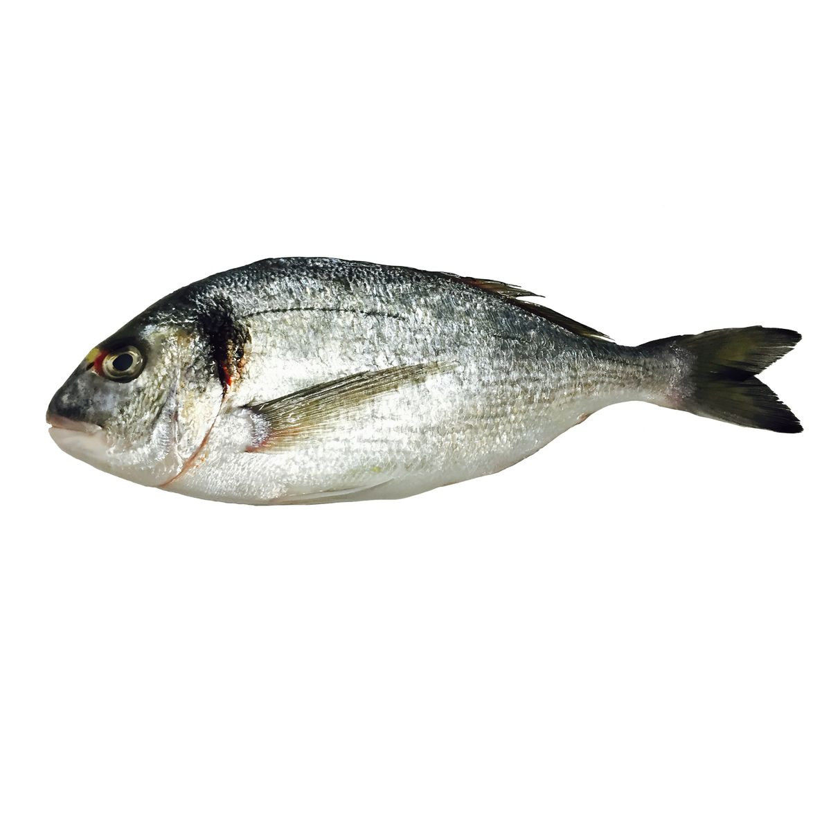 Poisson mademoiselle