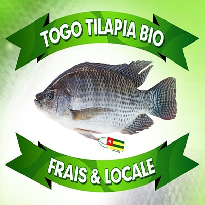 TOGO TILAPIA BIO