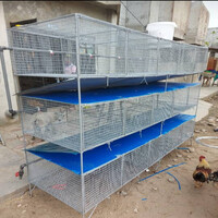 Cage  superposé de lapins
