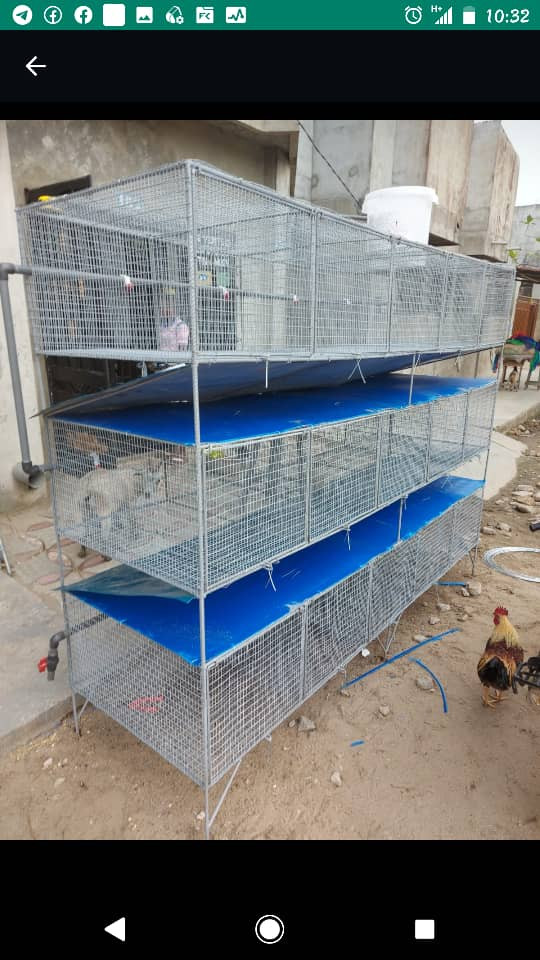 Cage  superposé de lapins
