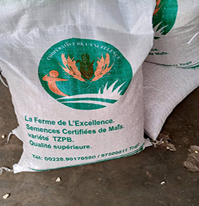 Semence certifiée de mais TZPB