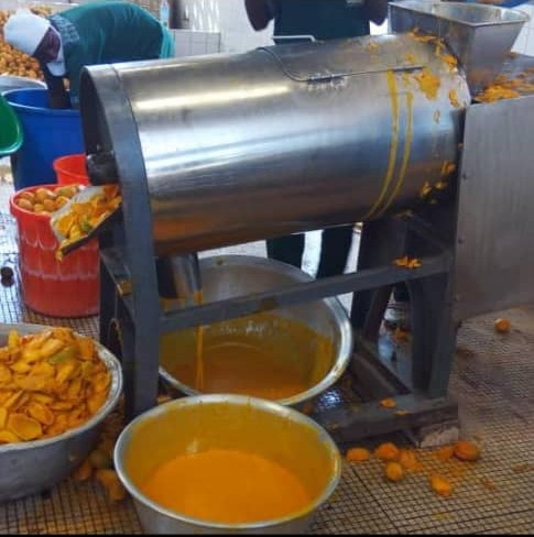 Extracteur de jus de mangue et tomate