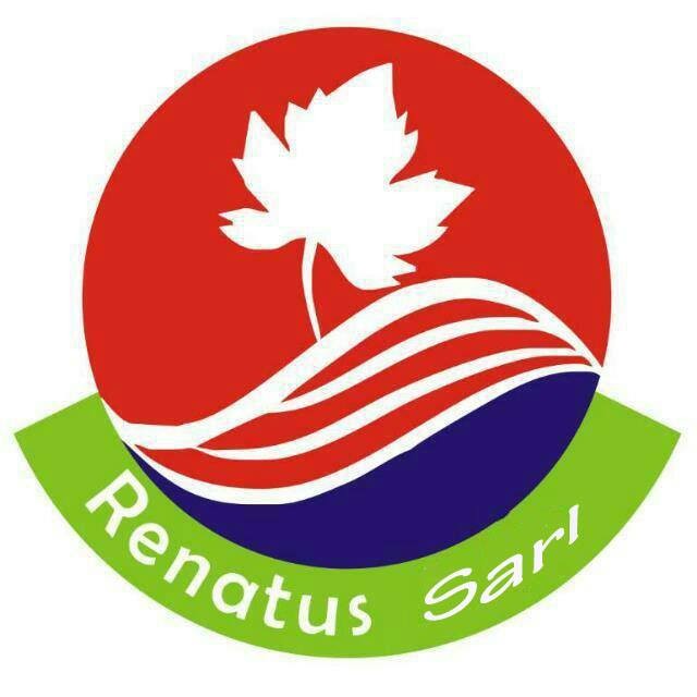 RENATUS