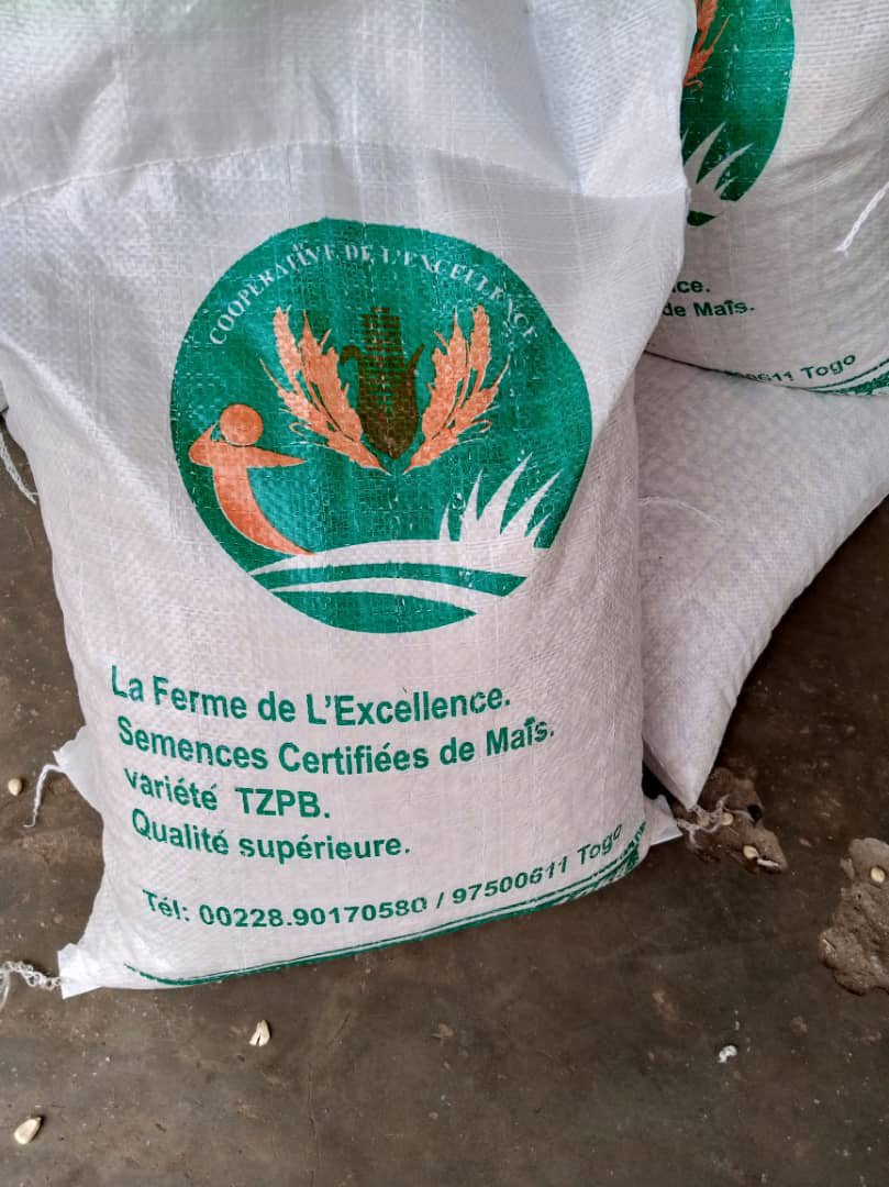 Semence certifiée de mais TZPB