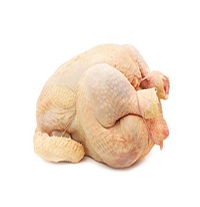 Poulet de chair