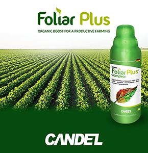 Engrais organique liquide FOLIAR PLUS COMPLETE