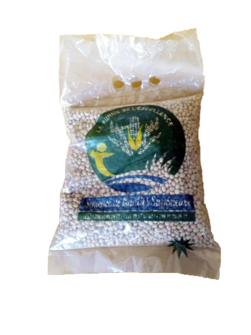 Semence certifiée de Soja TGX1910-14F